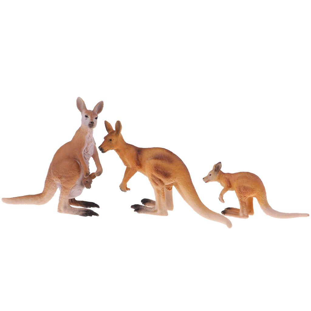 Kangaroo Kids Education - Realistische Tierfiguren Känguru-Familienmodell Lernspielzeug für Kinder