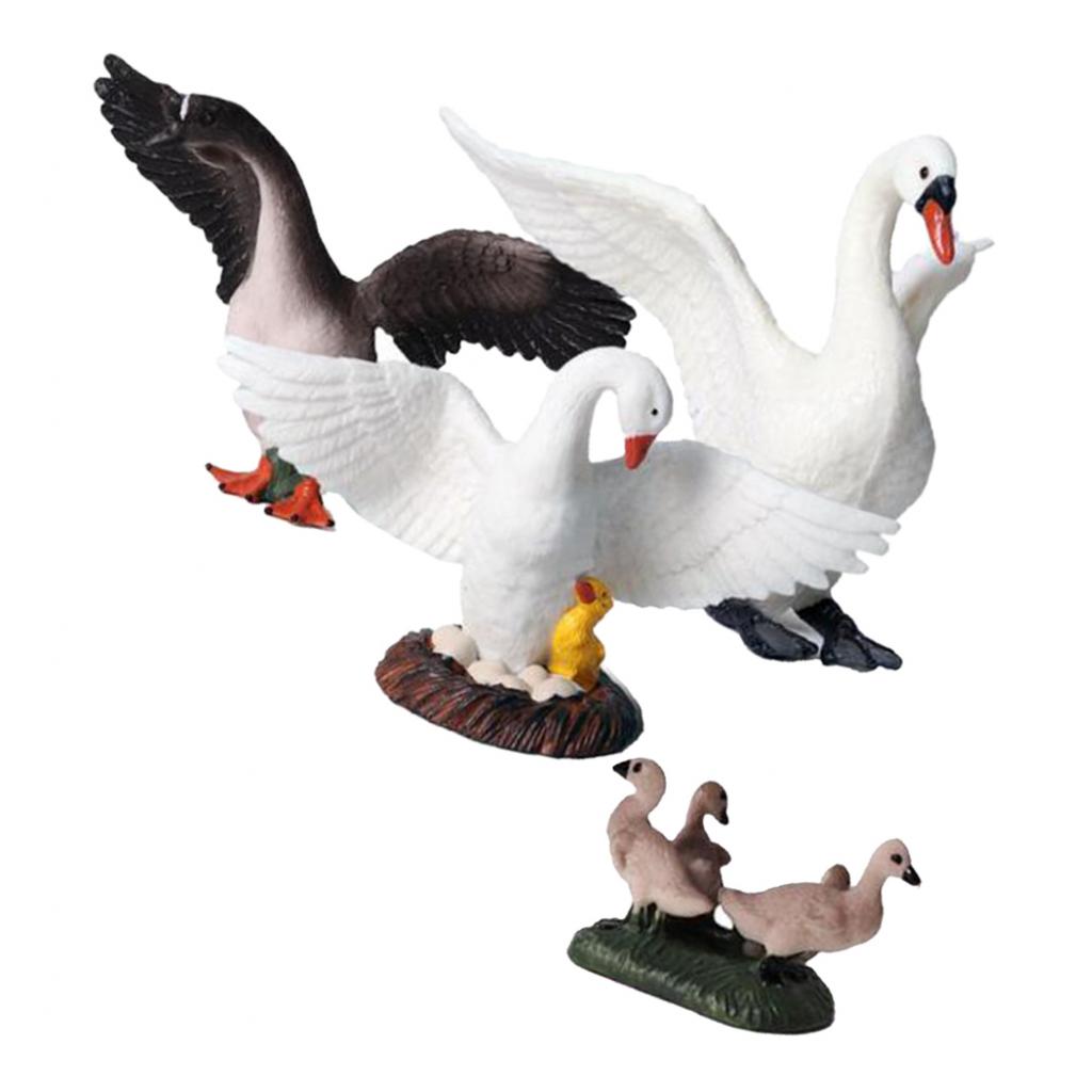 Kids Education Shows - Realistische Schwanenfiguren, lebensechte Tier-Desktop-Dekoration, pädagogisches Sammlerstück,
