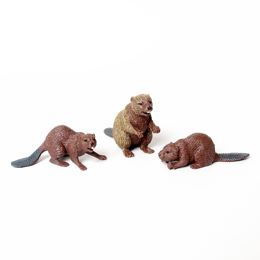 Realistische Waldkreaturen, Fi – Kids Education Shows Bewertung und Preis