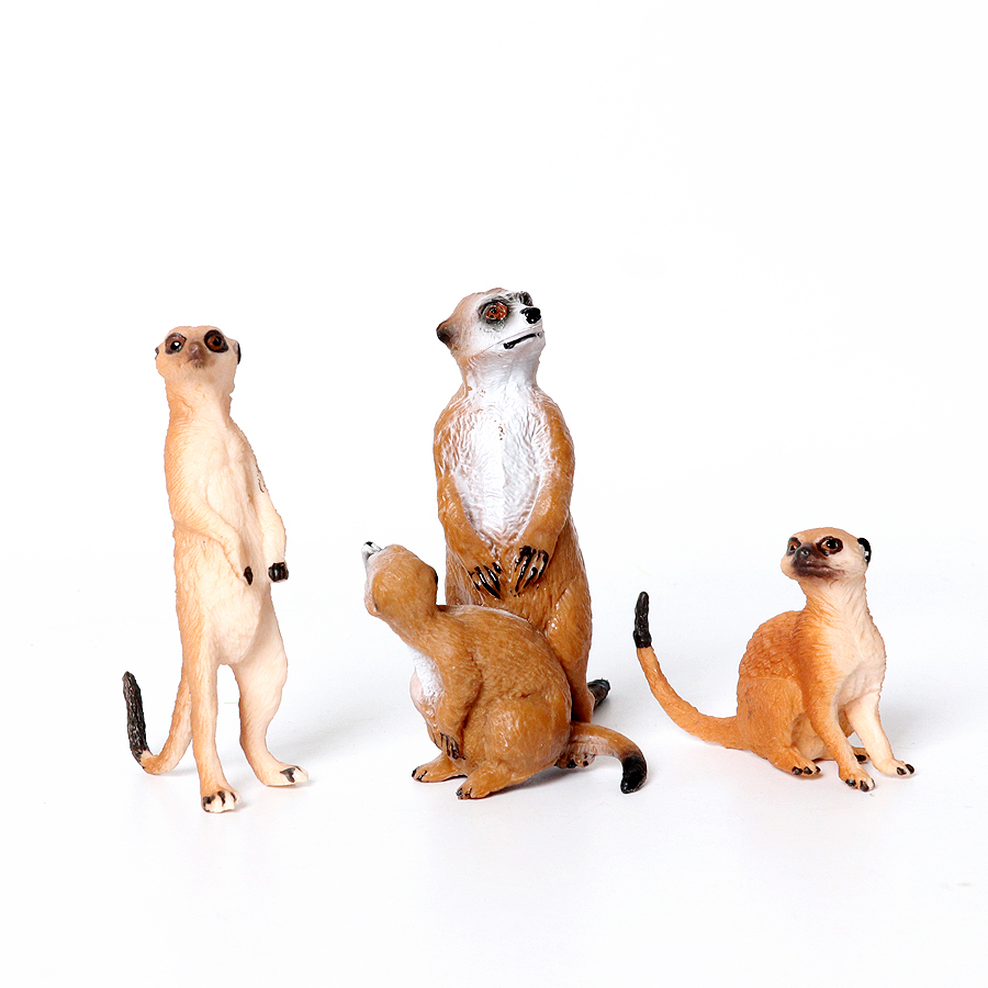 Realistische Waldkreaturen, Fi – Kids Education Shows Bewertung und Preis