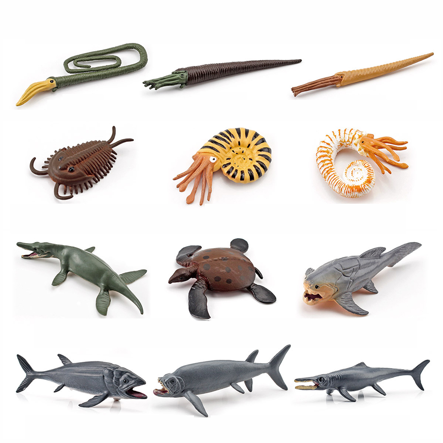 12-teiliges Realistisches Mini – Kids Education Shows Bewertung und Preis