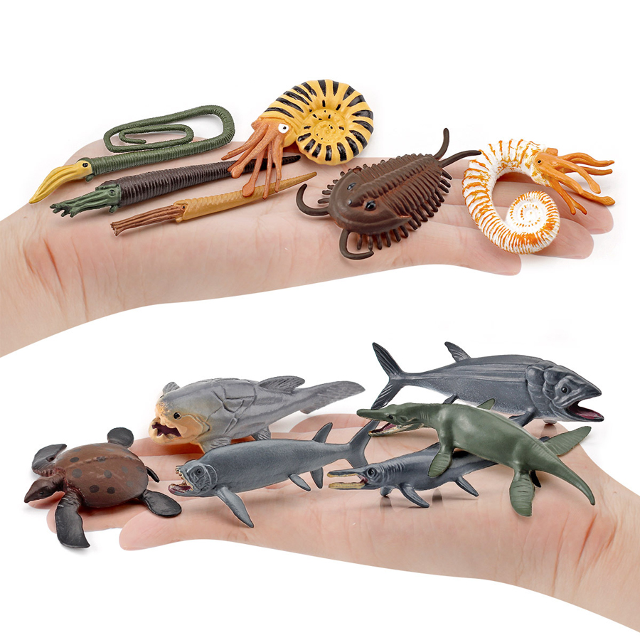 12-teiliges Realistisches Mini – Kids Education Shows Bewertung und Preis