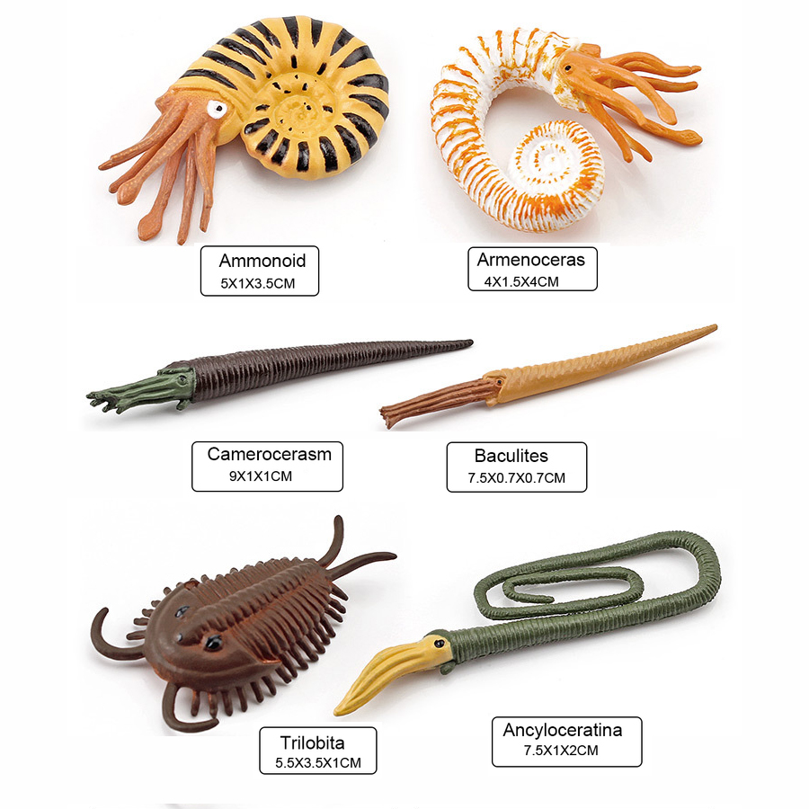12-teiliges Realistisches Mini – Kids Education Shows Bewertung und Preis
