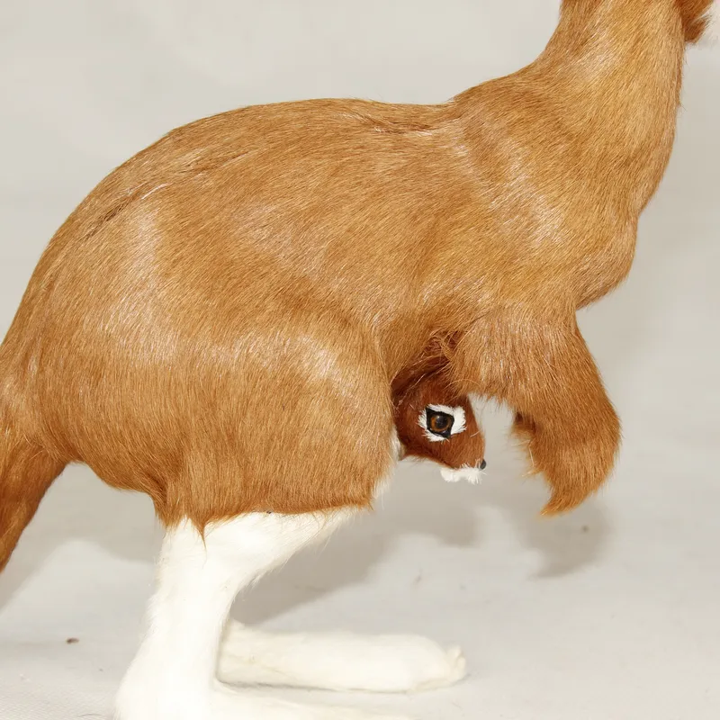 Lebensechte Känguru-Handpuppe, – Kangaroo Kids Education Bewertung und Preis